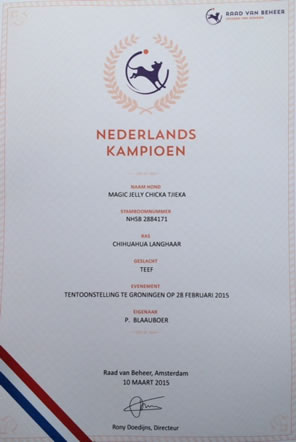 nederlands kampioen