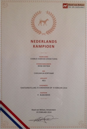 nederlands kampioen
